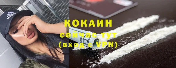 ПСИЛОЦИБИНОВЫЕ ГРИБЫ Баксан