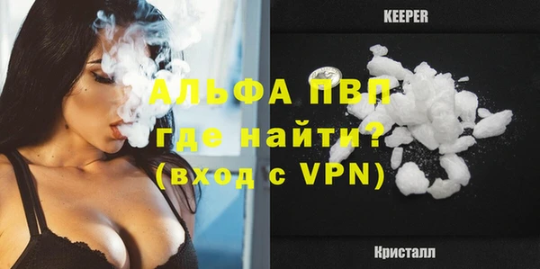 сатива Липки
