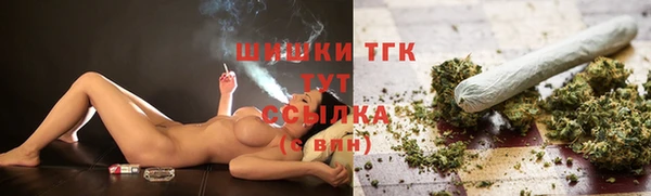сатива Липки