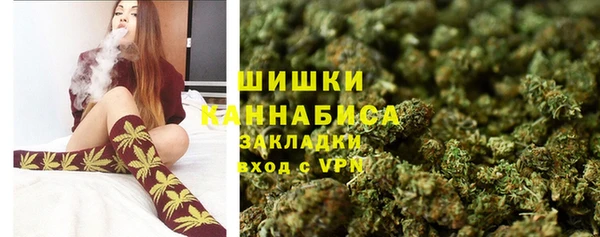 сатива Липки