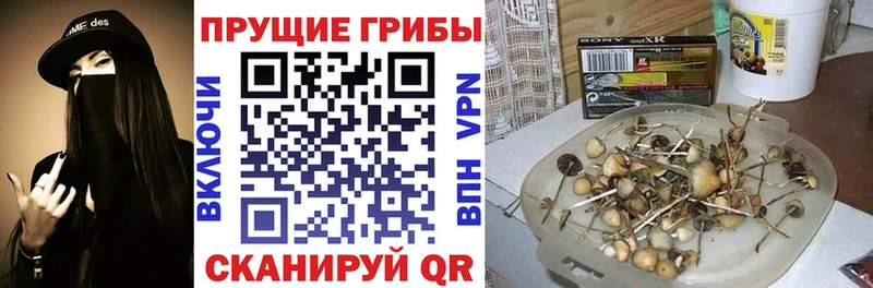 Псилоцибиновые грибы ЛСД  Заозёрск 